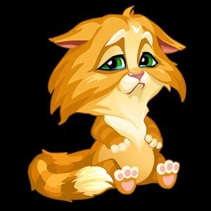 Meet your Posher, Chloe